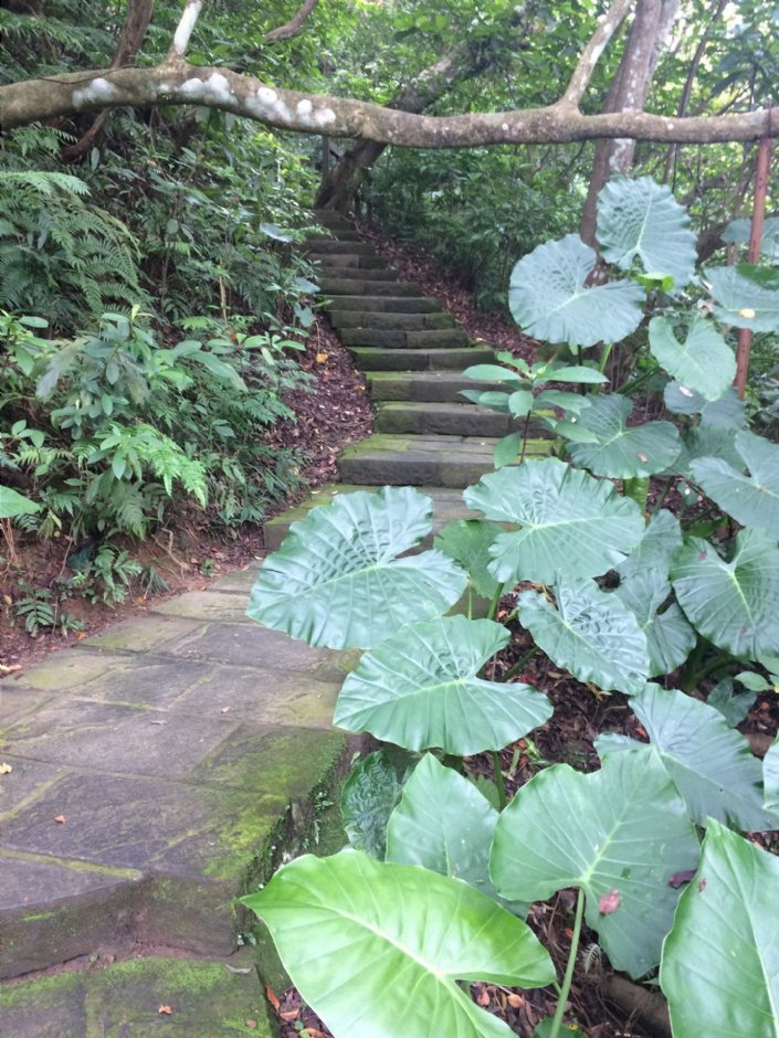富陽自然生態公園 攝影：Eva隨手拍