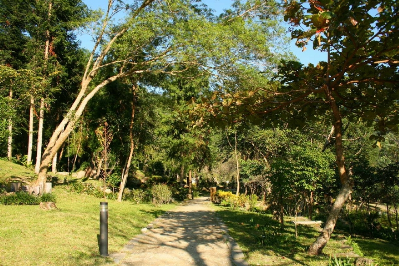 植物園區步道 攝影：老山羊部落格