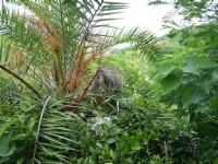 壽山國家自然公園<br/> 攝影：三井