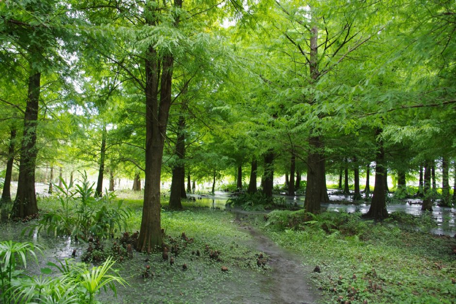 雲山水 攝影：Eva隨手拍