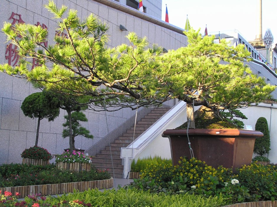 中台禪寺一景 攝影：李佩璇