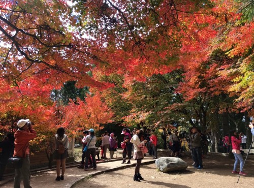福壽山農場