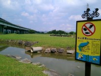 華江雁鴨自然公園<br/> 攝影：Eva隨手拍