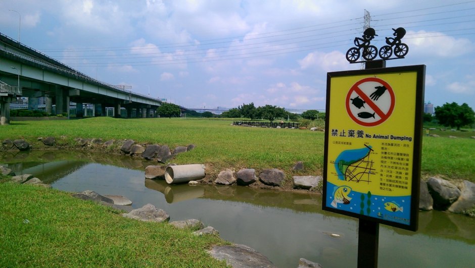 華江雁鴨自然公園 攝影：Eva隨手拍