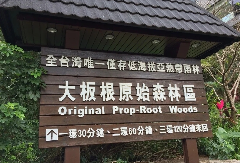 大板根森林遊樂區 攝影：簡時強