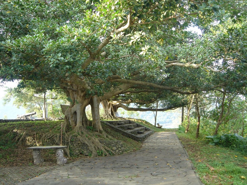 砲台山一景 攝影：余燕鳳