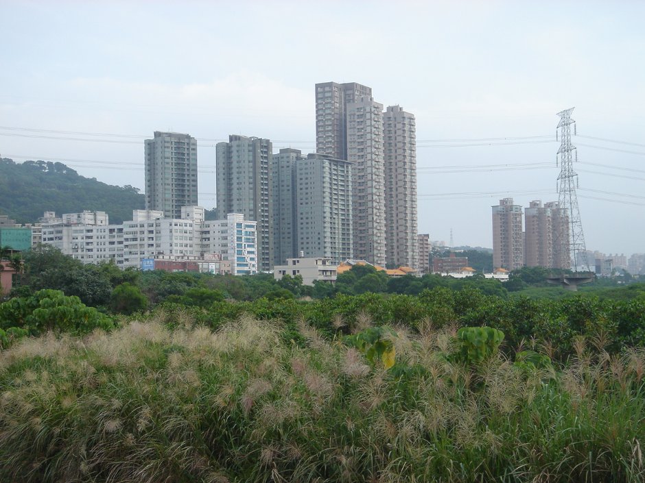 紅樹林遠望市區景觀 攝影：陳美吟
