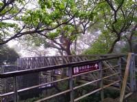 林梢步道<br/> 攝影：Lu