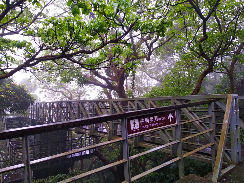 林梢步道 攝影：Lu