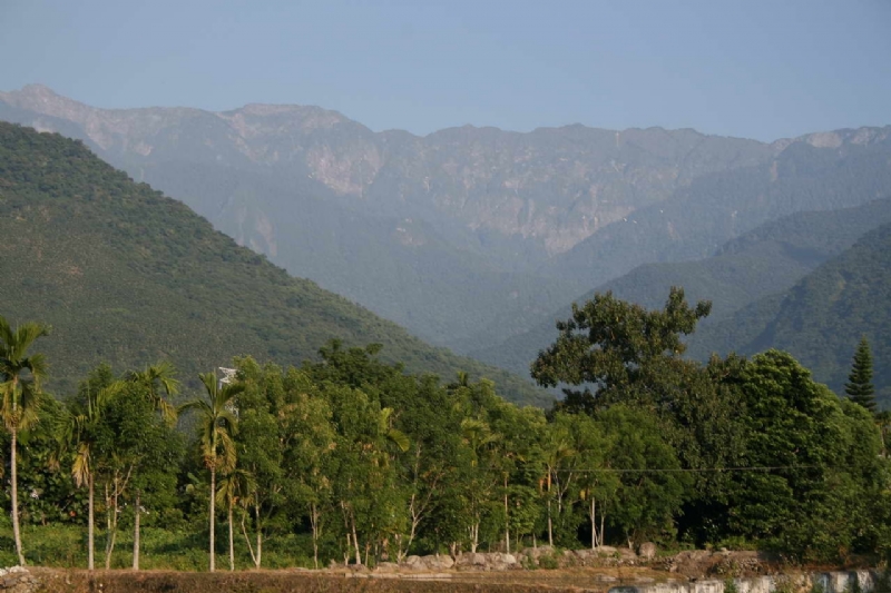 青山綠林 攝影：老山羊部落格