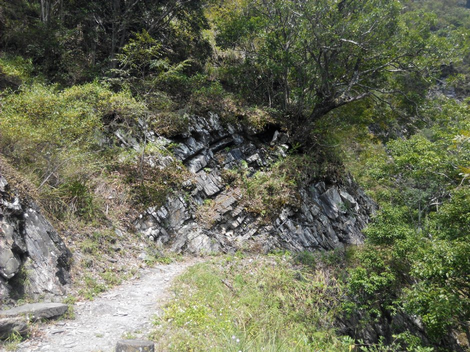 八通關古道西段 攝影：Lu