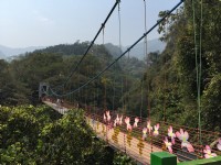 坪瀨琉璃光之橋<br/> 攝影：旅遊王攝影組