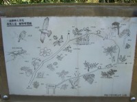 植物導覽圖<br/> 攝影：鄭瑄頤