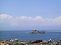 賞鯨<br/> 攝影：amo