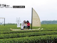 悠遊茶海帆船<br/> 攝影：茶二指故事館 提供