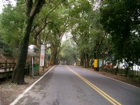 集集綠色隧道<br/> 攝影：aPAn