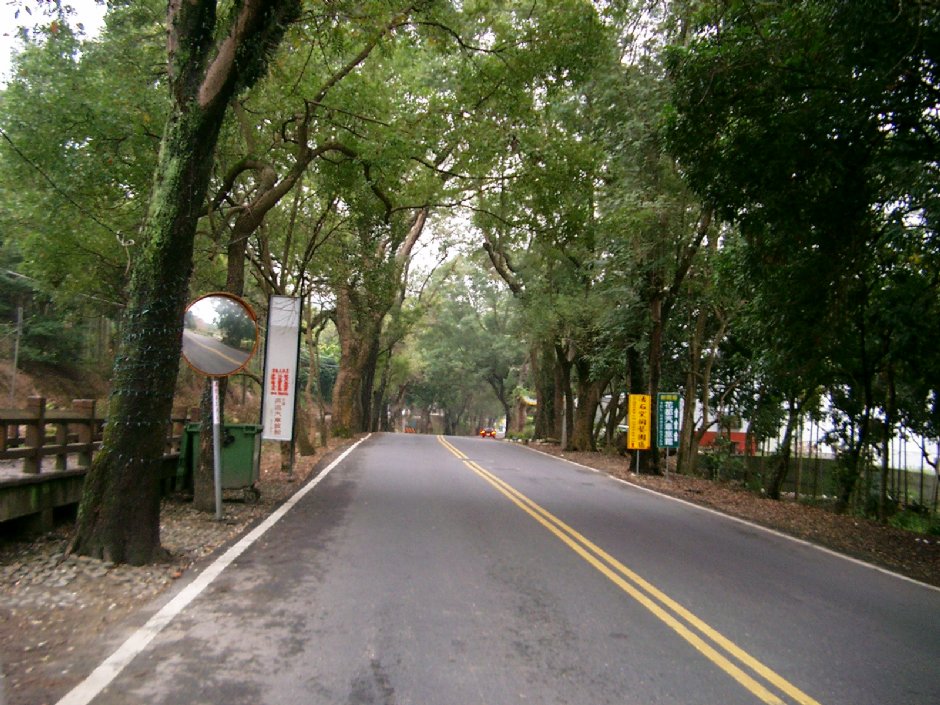 集集綠色隧道 攝影：aPAn