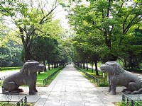 石像路-獅<br/> 攝影：馮順