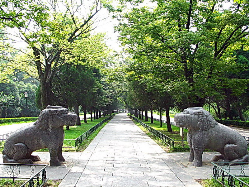 石像路-獅 攝影：馮順
