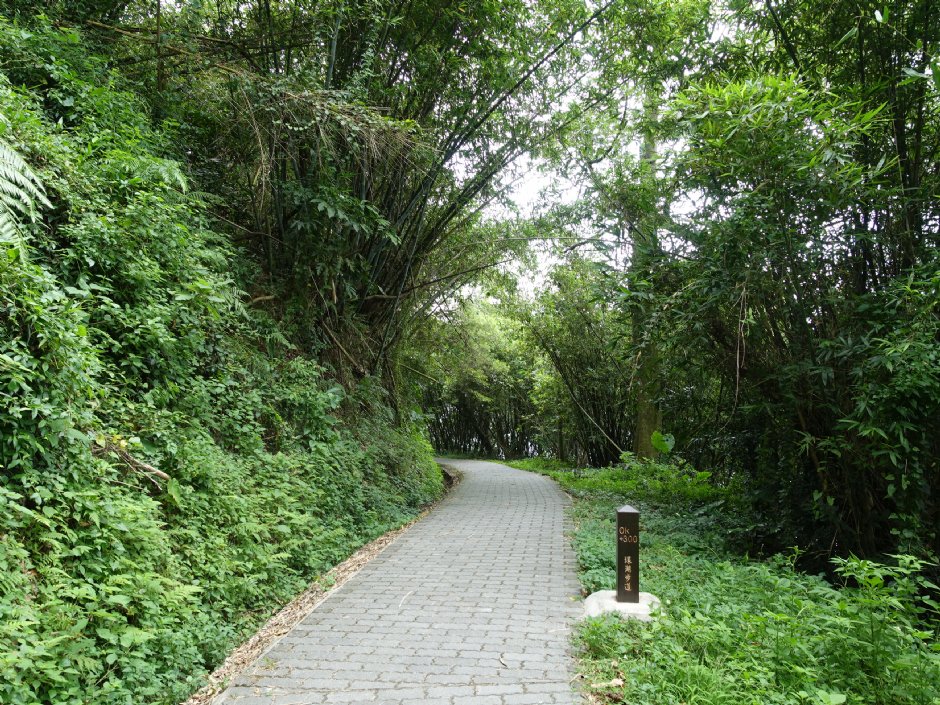 寶山水庫風景區 攝影：陳美吟