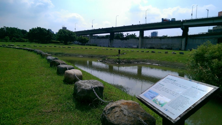 華江雁鴨自然公園 攝影：Eva隨手拍
