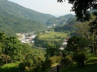 榕蔭步道觀知本溫泉地區<br/> 攝影：老山羊部落格