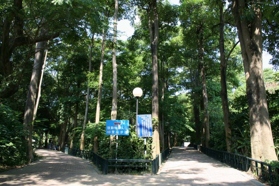 登山步道岔口 攝影：老山羊部落格