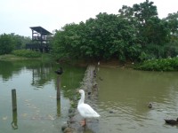 八德埤塘生態公園<br/> 攝影：Eva隨手拍