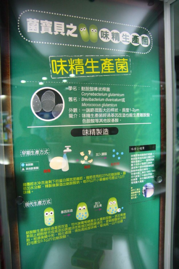 味精製造說明 攝影：小政政