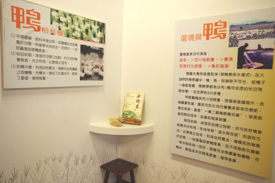 博士鴨觀光工廠 攝影：Eva隨手拍