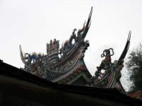 燕尾<br/> 攝影：陳銘祥