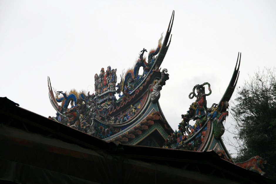 燕尾 攝影：陳銘祥