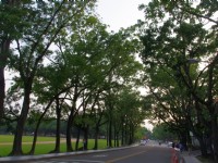 中興新村<br/> 攝影：Eva隨手拍