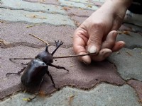 加走咖啡生態休閒農園 園區<br/> 攝影：加走咖啡 提供