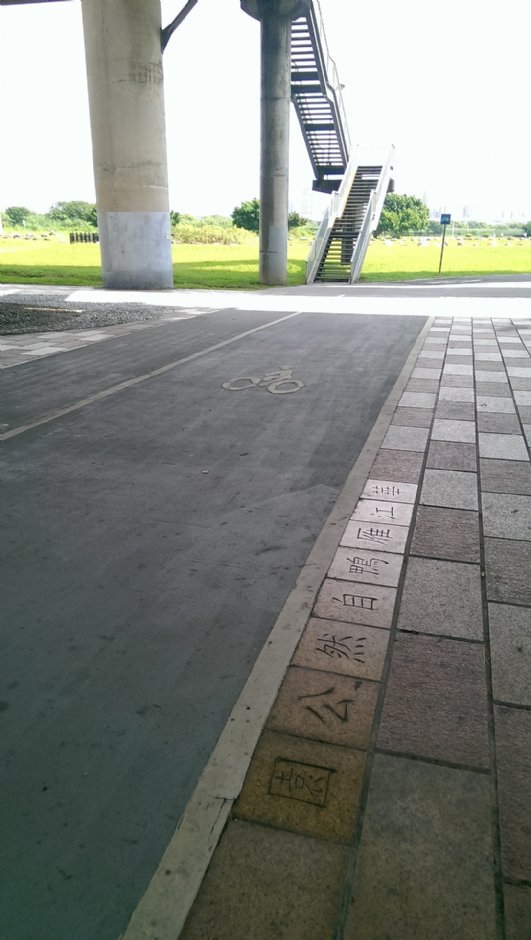 華江雁鴨自然公園 攝影：Eva隨手拍