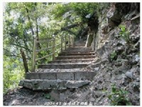 綠蔭夾道<br/> 攝影：帶著相機去旅行