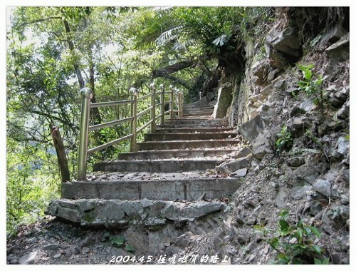 綠蔭夾道 攝影：帶著相機去旅行