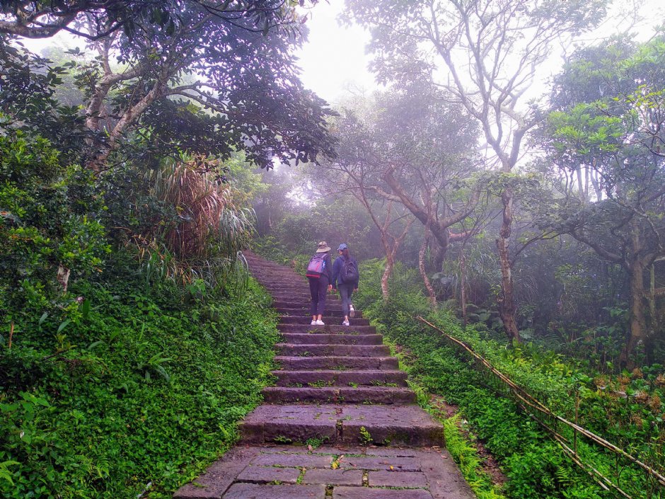 硬漢嶺登山步道 攝影：Lu
