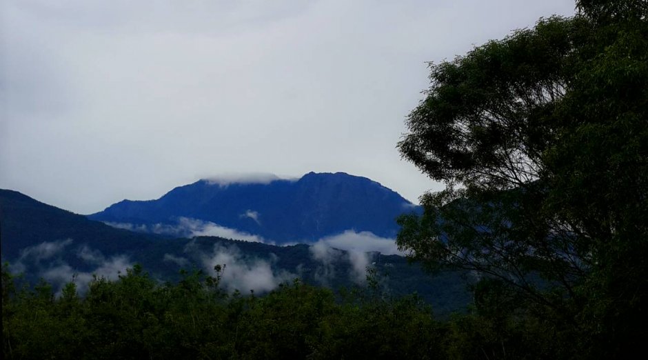 加走咖啡觀景台即可眺望大武山 攝影：加走咖啡 提供