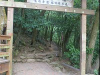 四月雪小徑<br/> 攝影：Eva隨手拍
