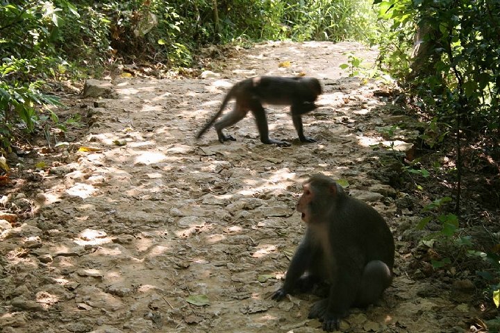 壽山國家自然公園 攝影：老山羊部落格
