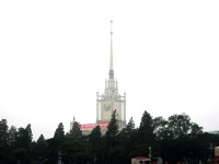 像矗立在樹上<br/> 攝影：方盛文