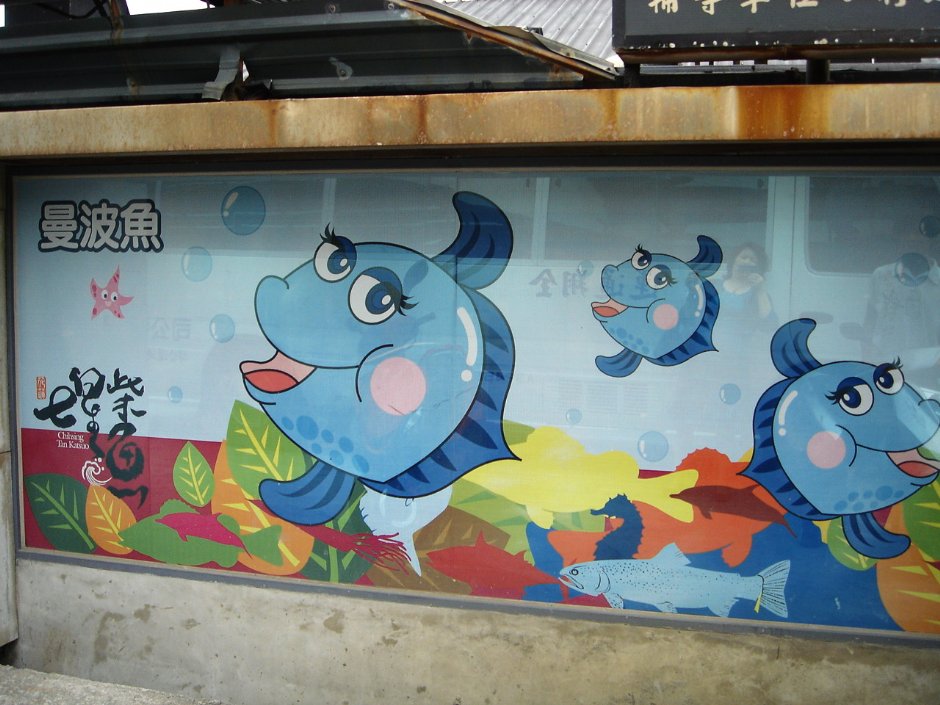 围墙曼波鱼图案 摄影：余燕鳳