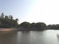 都會公園內湖泊<br/> 攝影：Kate
