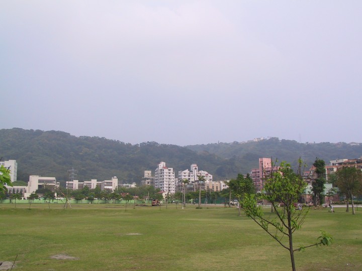 草坪 攝影：kavin