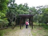 台南白河蓮花公園<br/> 攝影：三井