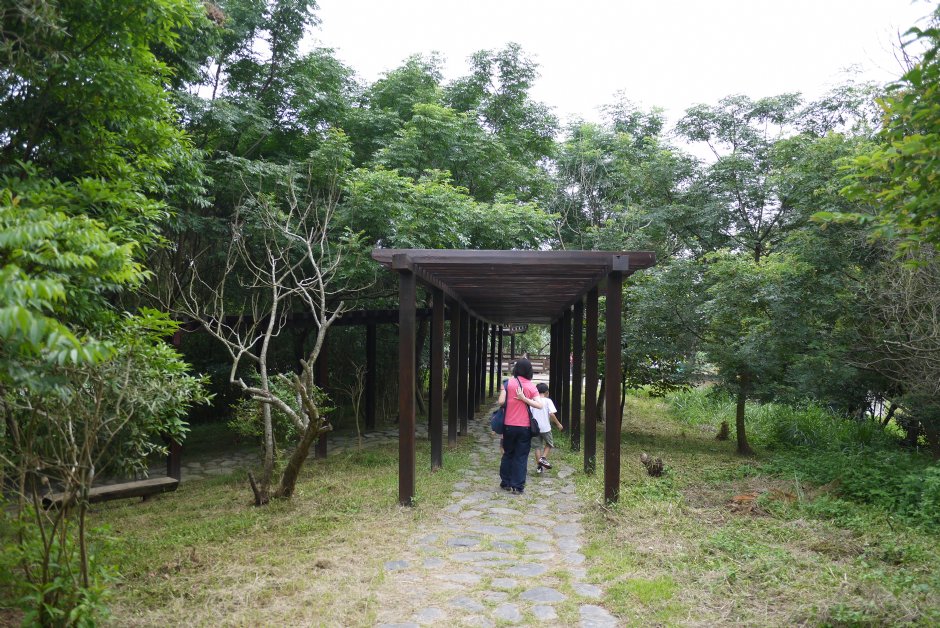 台南白河蓮花公園 攝影：三井