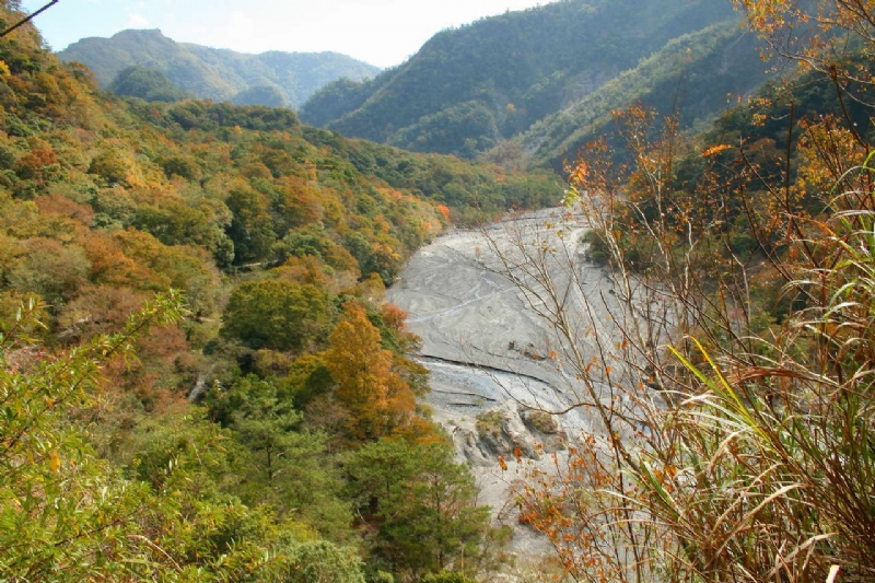 萬大溪落葉林景觀 攝影：老山羊部落格