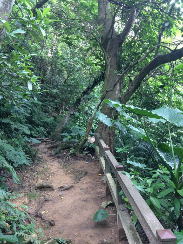 富陽自然生態公園 攝影：Eva隨手拍
