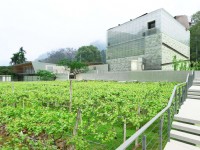 美術館與葡萄園<br/> 攝影：毓繡美術館